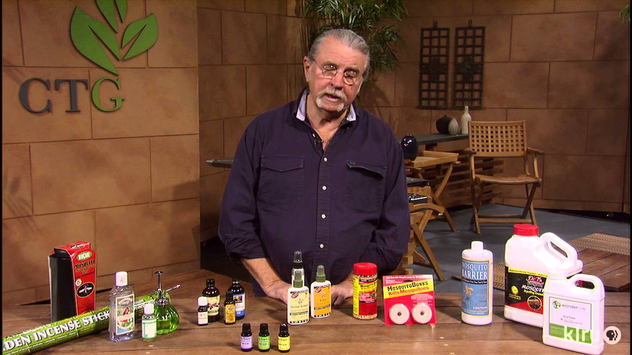Natural mosquito control |John Dromgoole |Central Texas Gardener
