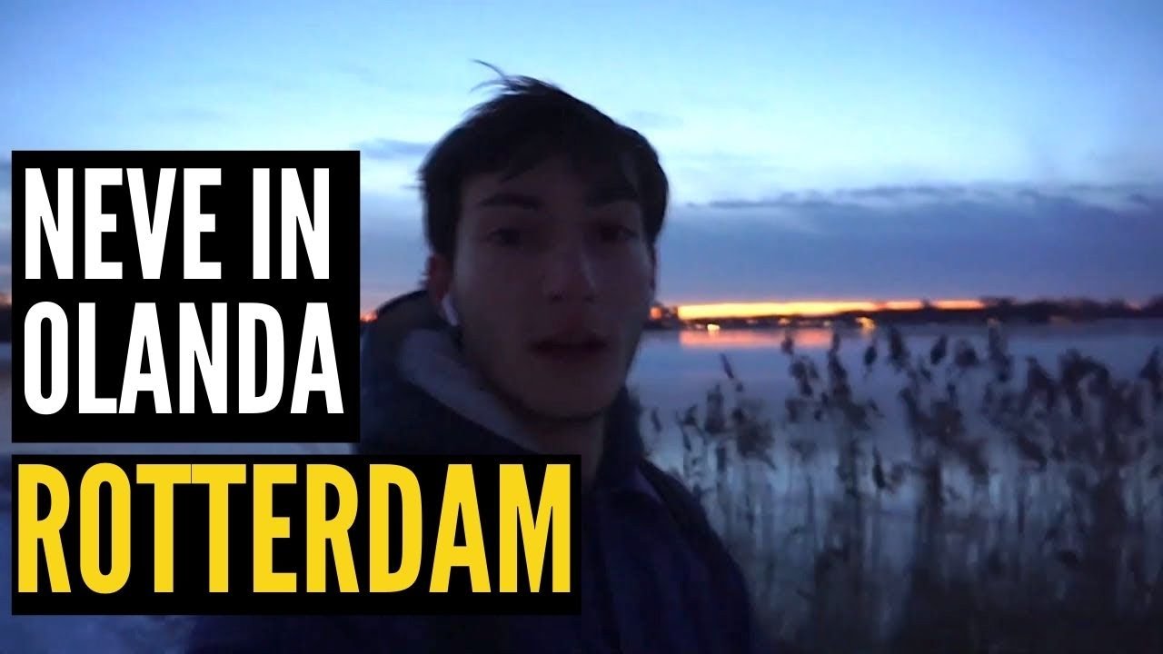 Cammino sui canali ghiacciati a Rotterdam 🇳🇱 La mia vita in Olanda