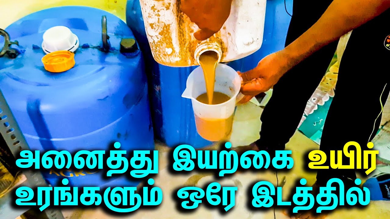 அனைத்து இயற்கை உயிர் உரங்களும் ஒரே இடத்தில் || சாய்ராம் ஆர்கானிக் ஸ்டோர், மயிலி நர்சரி, திண்டுக்கல்