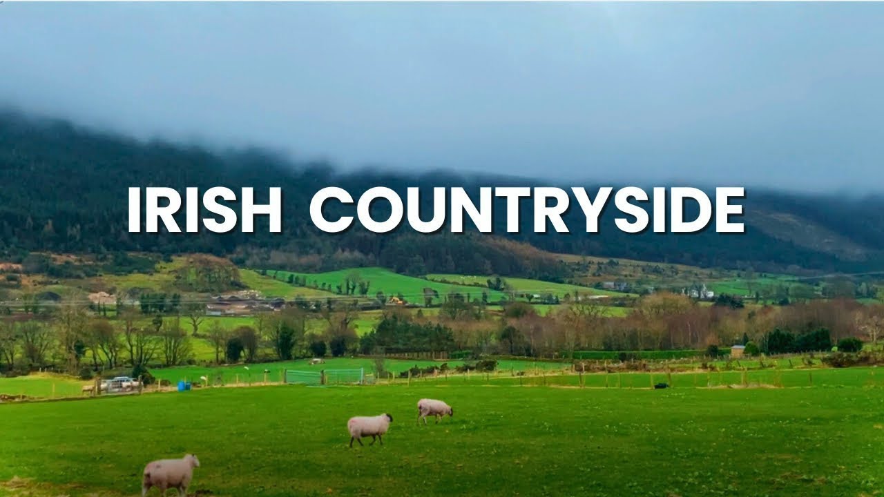 24 Hrs in Irish Countryside: Peace, Nature and Serenity
