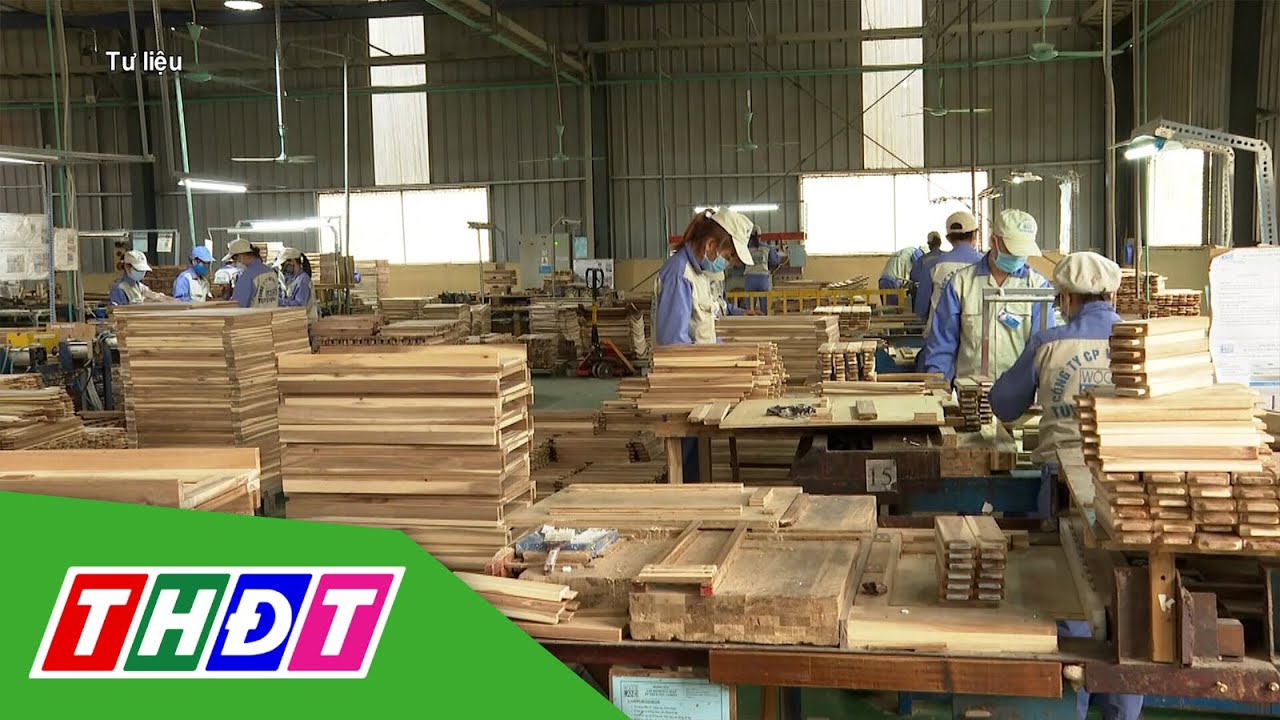 Bán gỗ vụn thu 2 tỷ USD, cành cây rừng gãy đổ do bão gom bán ra tiền | THDT
