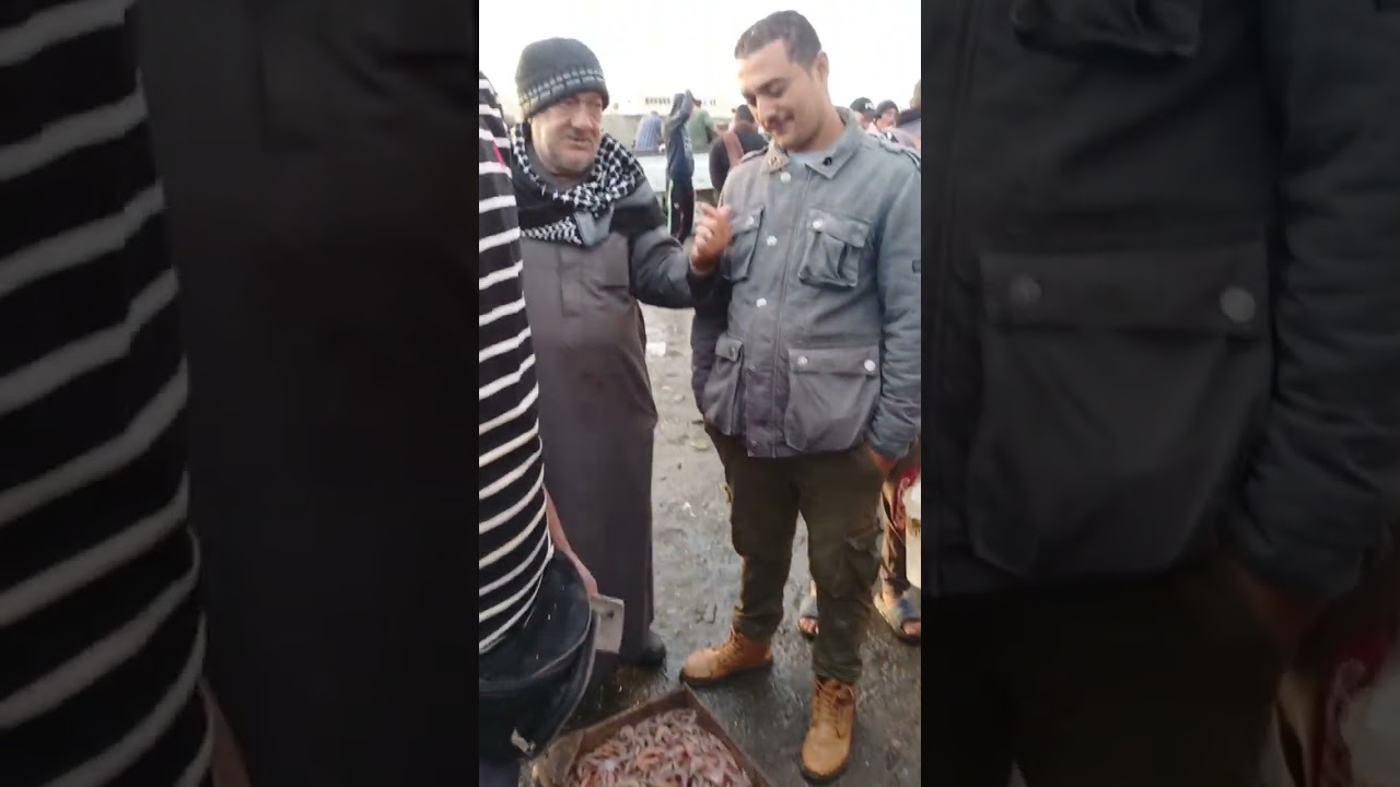 رحلة صيد يومين المركب بينزل الأسماك البحرية بميناء البرلس ويبدأ المزاد فجرا شوف أسعار طاولة الأسماك