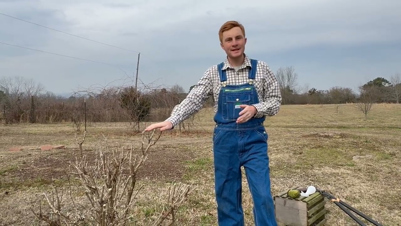 We're Back at Vine Life Farms! Let's Grow Again!