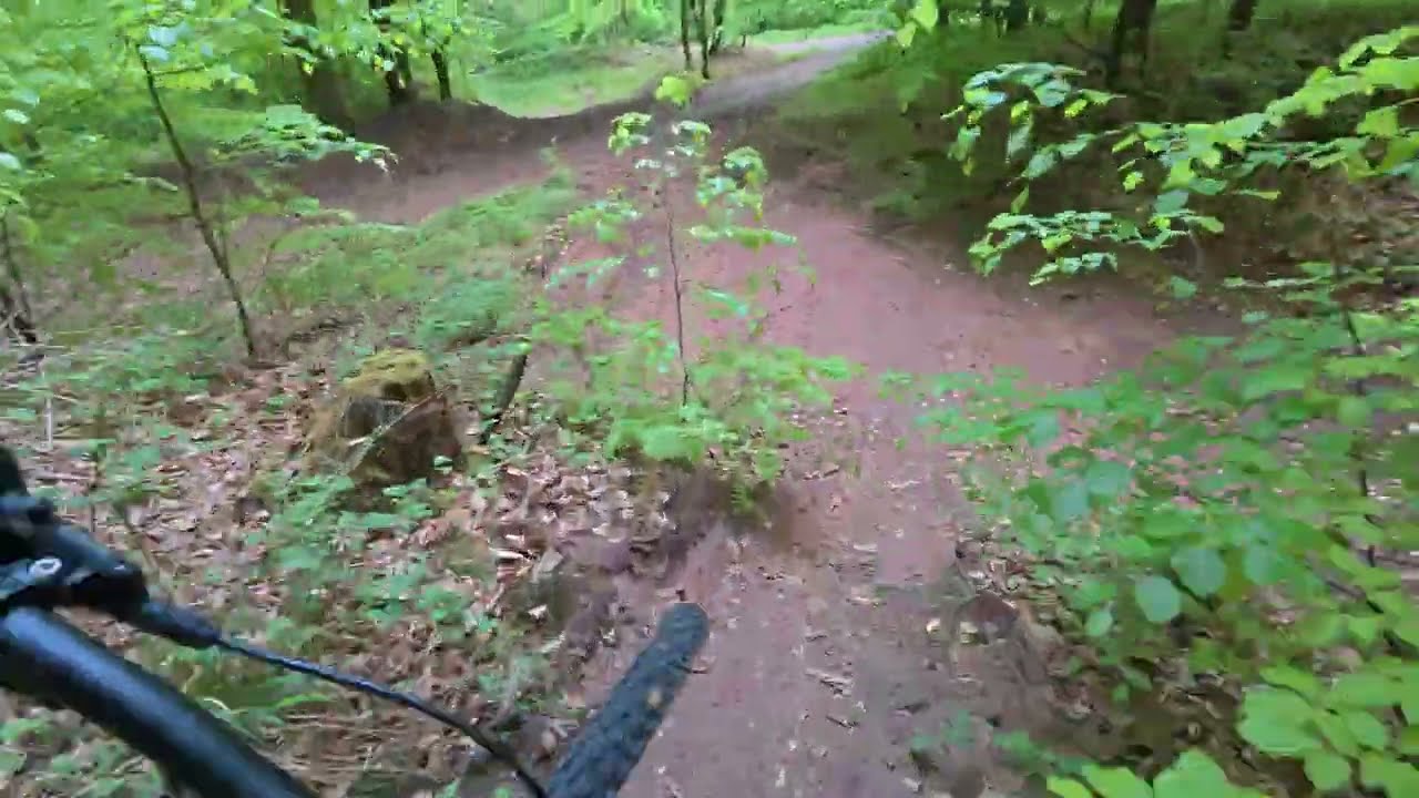 Collenberg Co1 Round Trails - Odenwald, DE [2025-05-02]