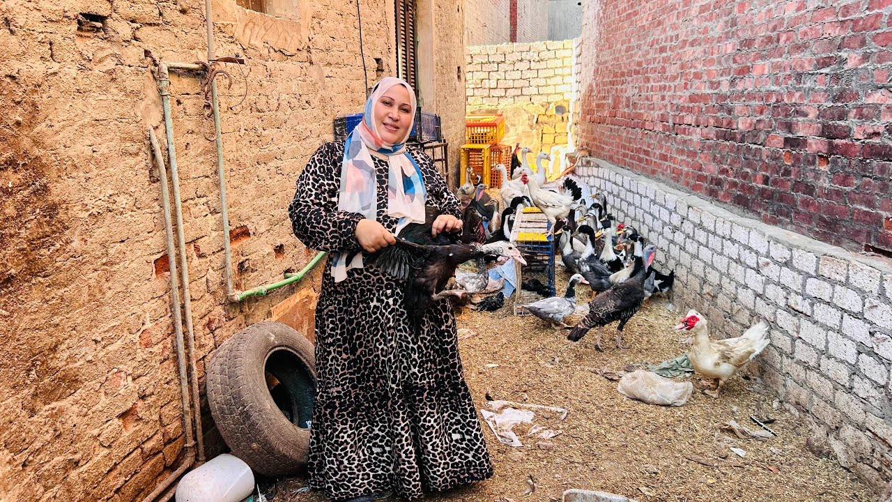 بدأت المشروع ده بااقل التكاليف ودلوقتي اشتريت منه البيت وبقي دخل ثابت