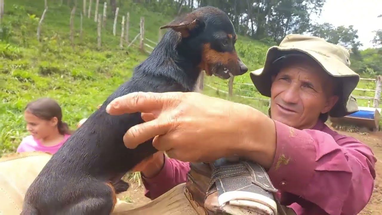 ELE NÃO QUER DESCER! Cachorro FICA BRAVO para continuar ANDANDO A CAVALO