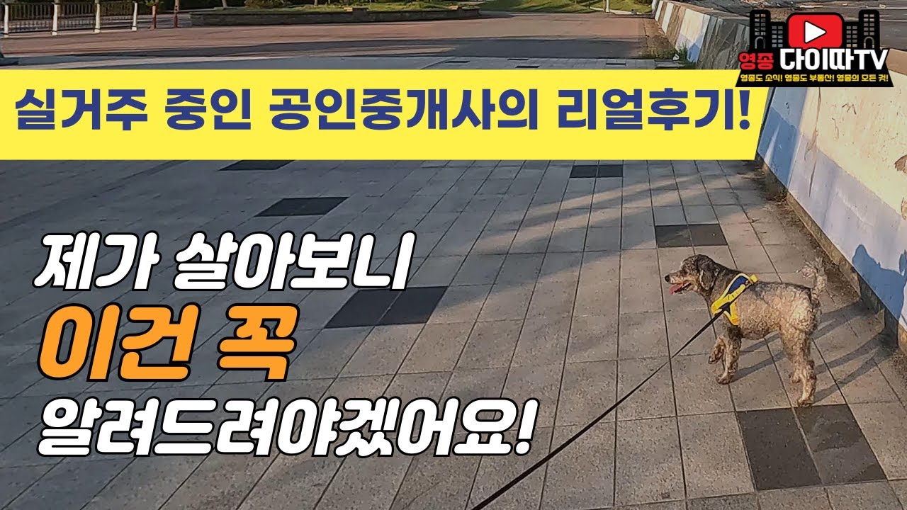 영종도 거주 후기｜직접 살아보니 느낀 장단점, 다 말씀드릴게요