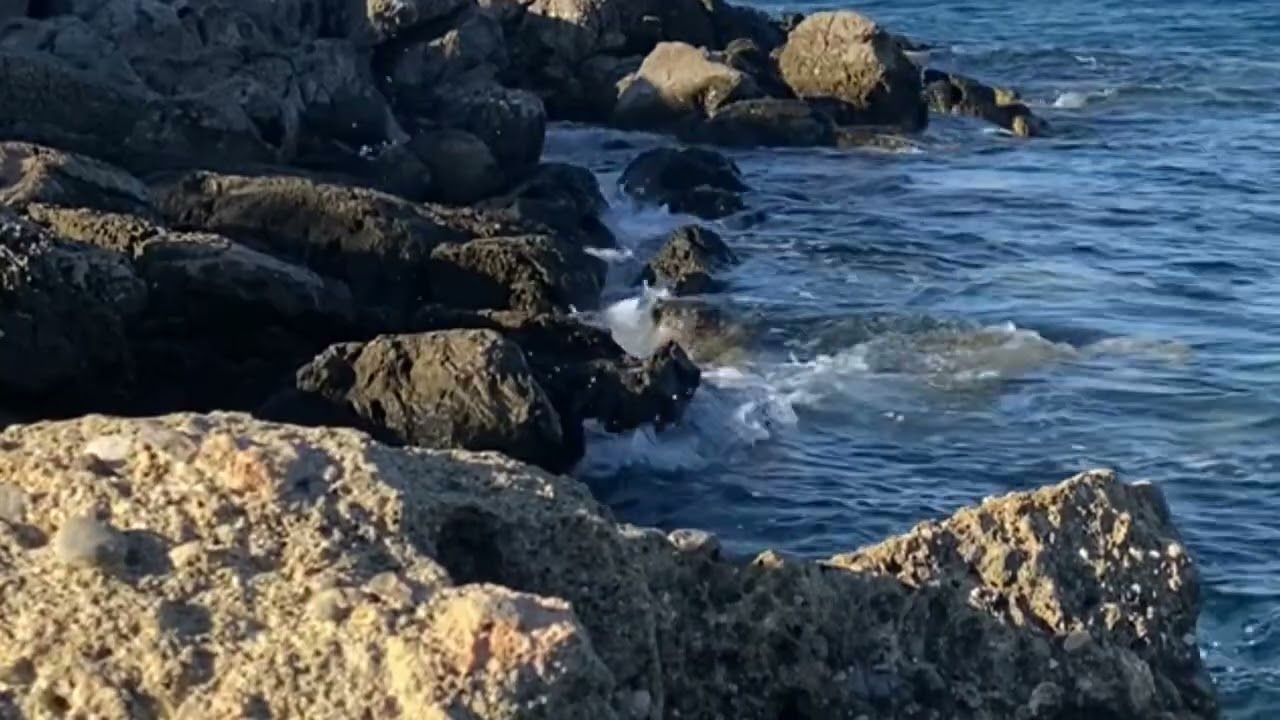 Magic of the sea