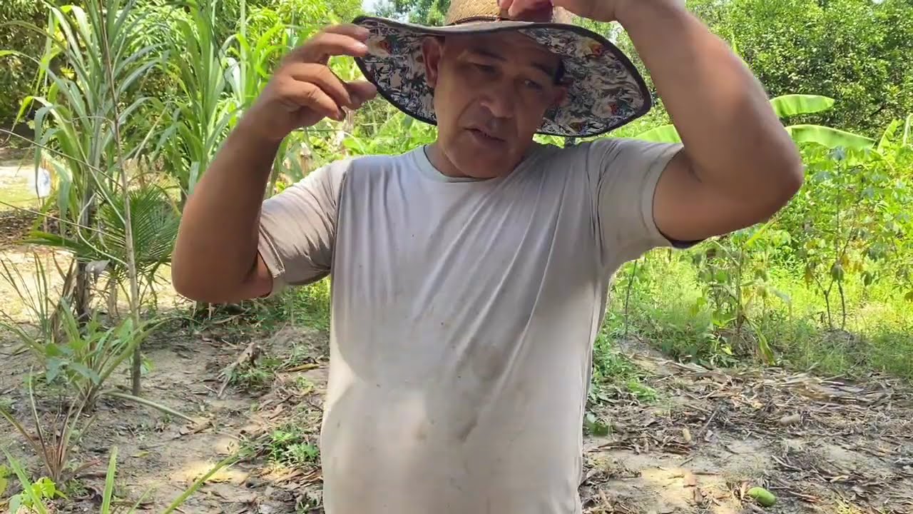 Dando um trato na roça para o sítio fica maravilhoso,por que trabalho não falta né pessoal.