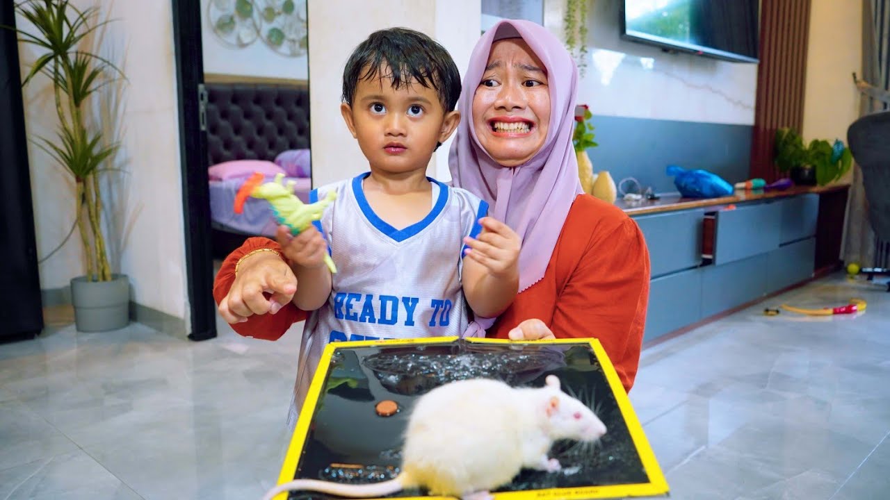 MENANGKAP TIKUS BESAR 🐀 PAKAI JEBAKAN TIKUS 