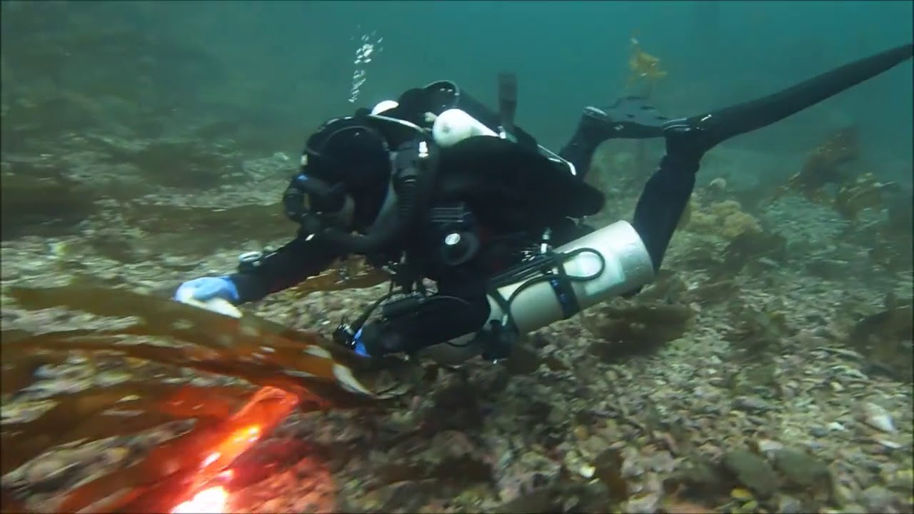 Diving Norway