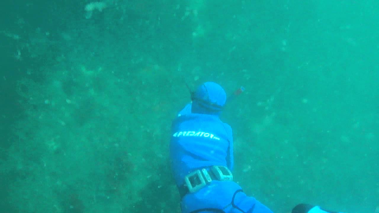 Zeph spears a butterfish at 8.6 m