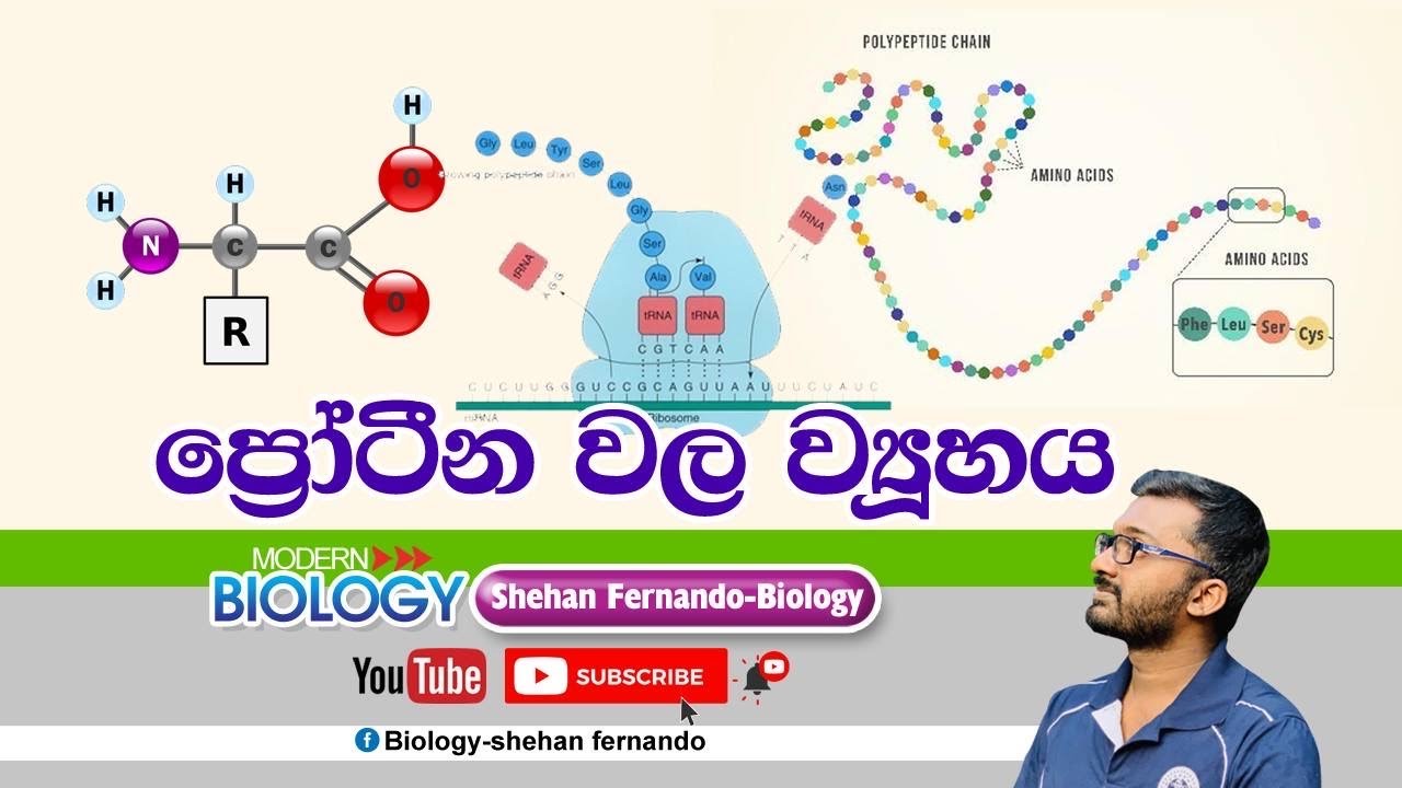 ප්‍රෝටීන - PROTEIN- 2 වන පාඩම- රසායනික සහ සෛලීය පදනම