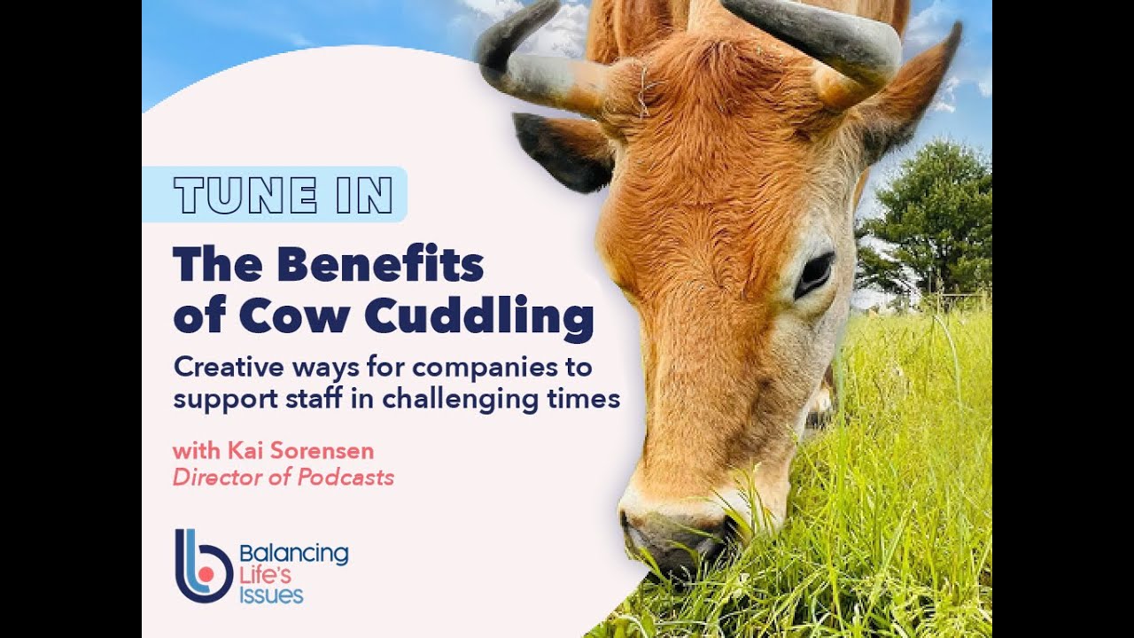 Tune In with Balancing Life's Issues - The Benefits of Cow Cuddling