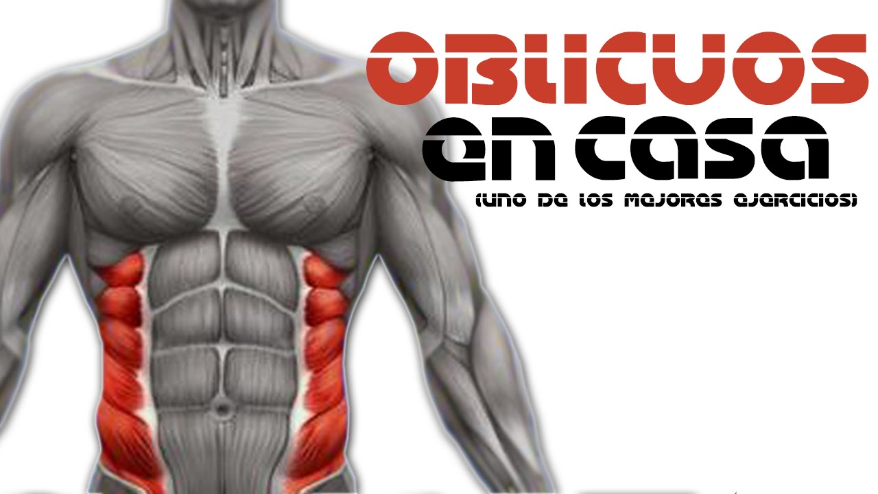 ABDOMINALES OBLICUOS EN CASA: UNO DE LOS MEJORES EJERCICIOS