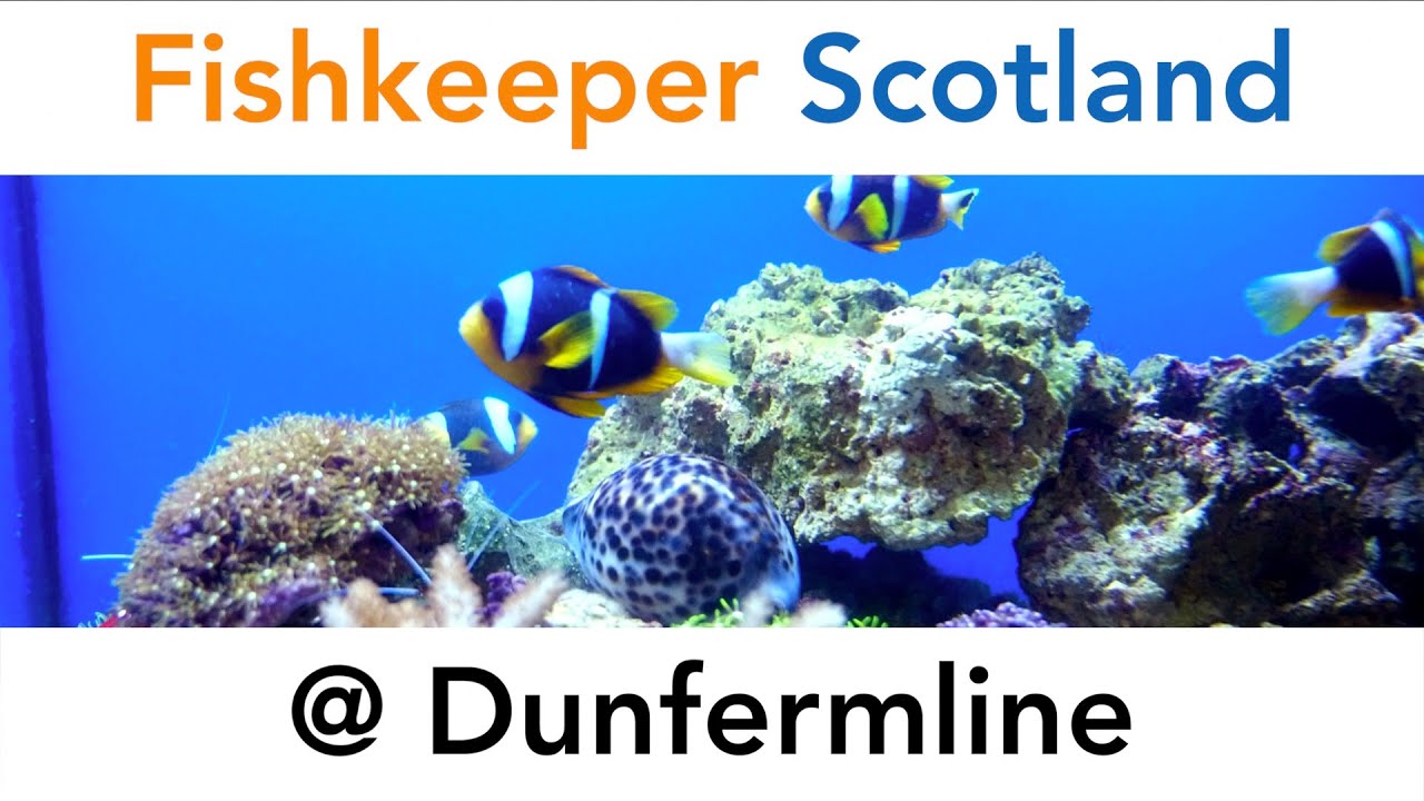 Fishkeeper Scotland @ Dunfermline