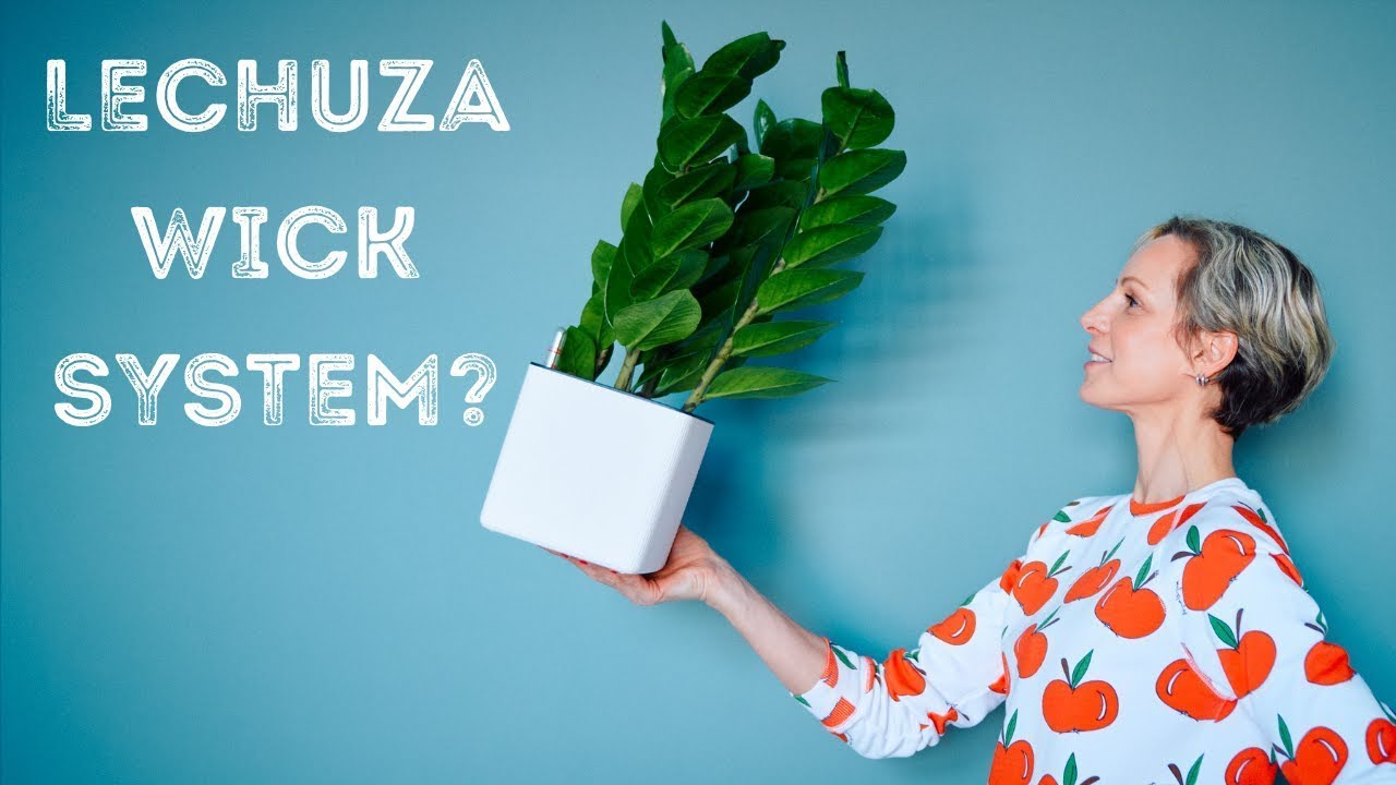 How To Grow Plants In Lechuza Planters With Wick System - Cube 16, Cube 14, Canto 14