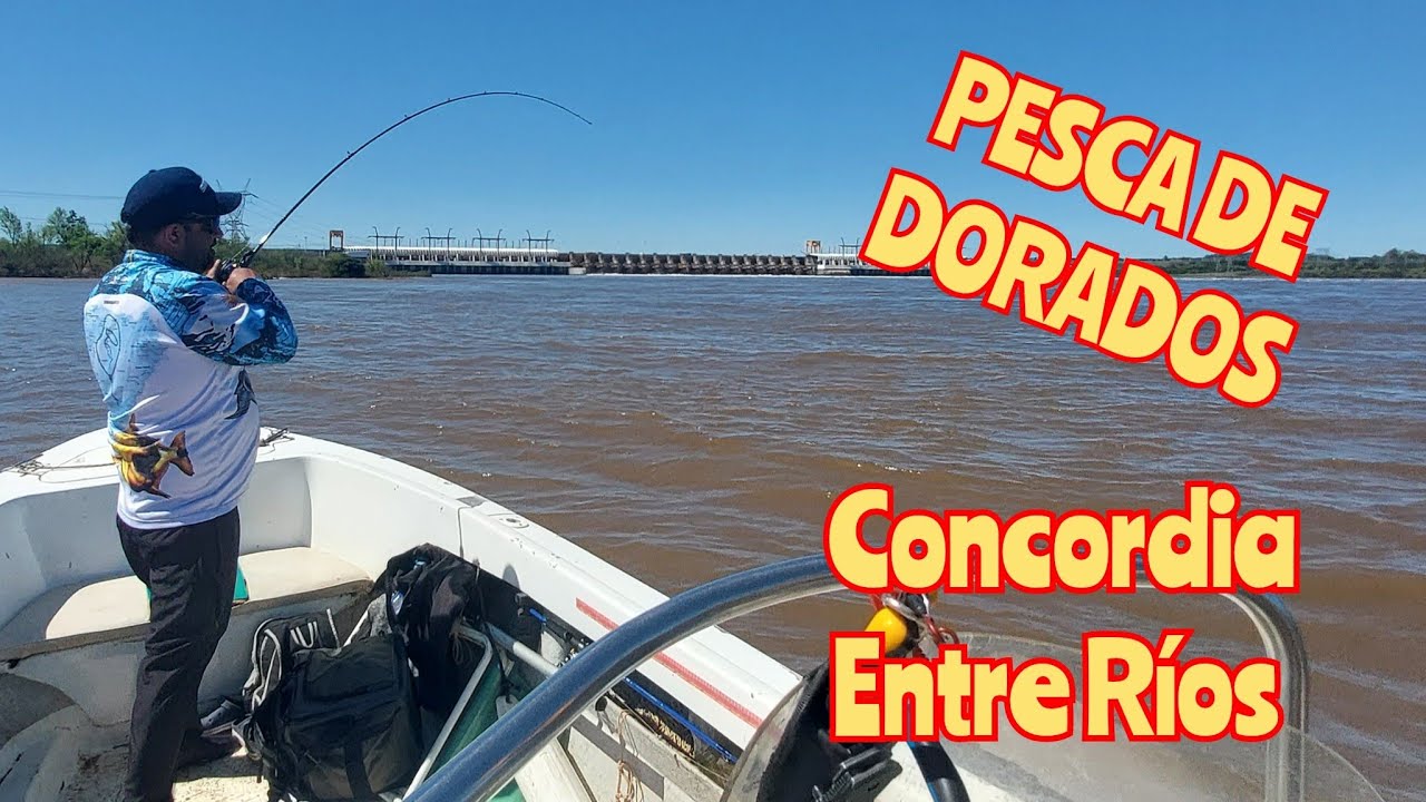 Capítulo n*48. Tremenda Pesca de Dorados  en Concordia, Entre Ríos, Argentina.