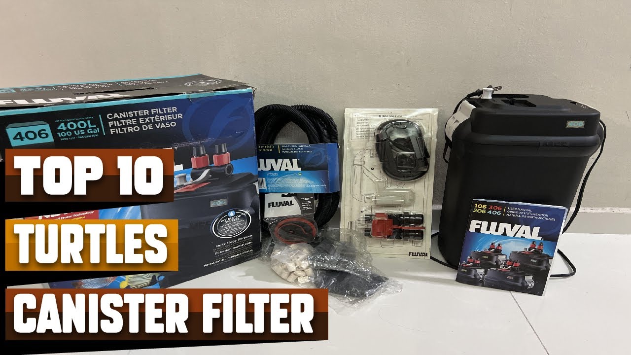 Best Canister Filter For Turtle In 2026 - Top 10 Canister Filter For Turtles Review