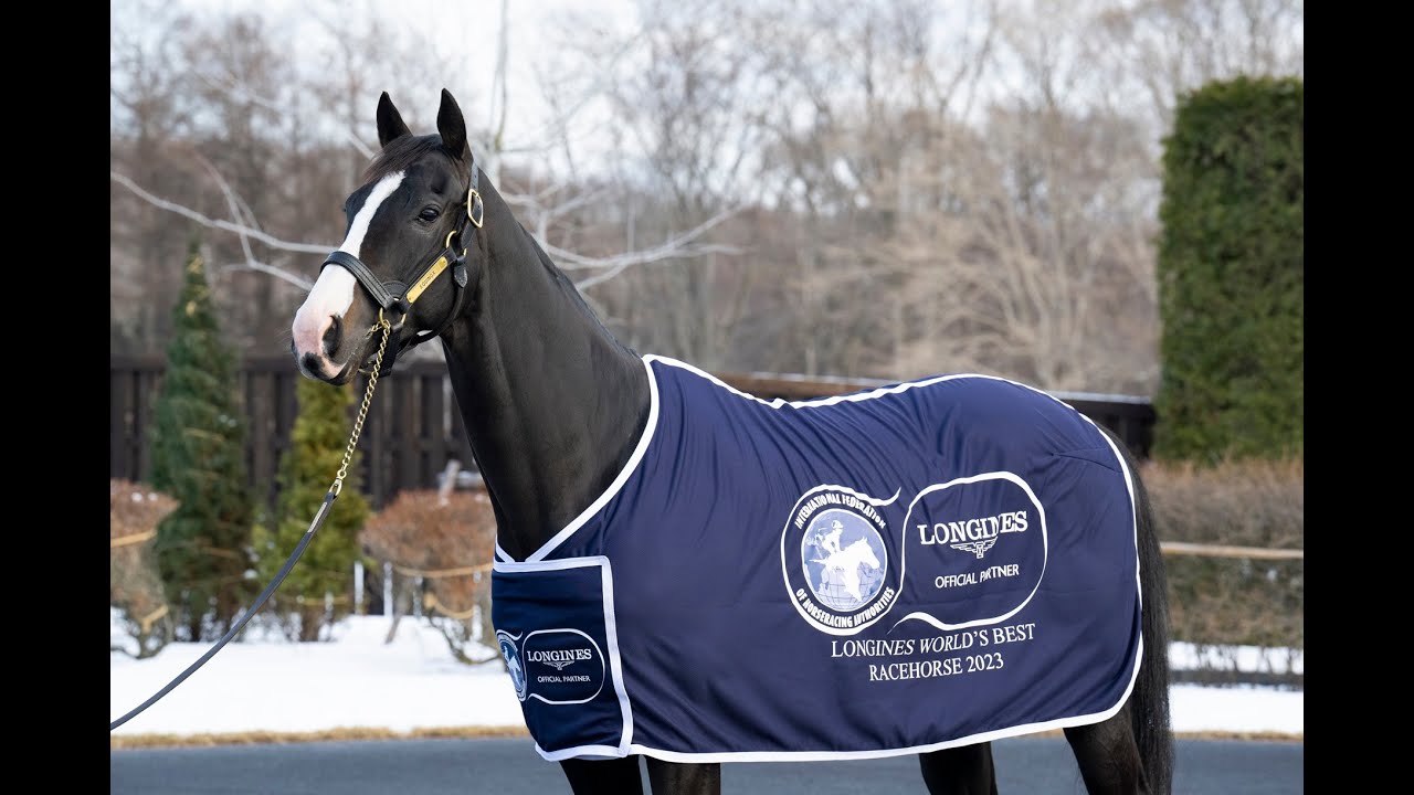Equinox - 2023 Longines World's Best Racehorse