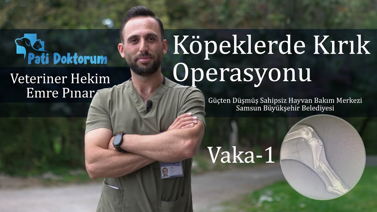 Köpeklerde Kırık Operasyonu   |  Kırık Vakaları-1