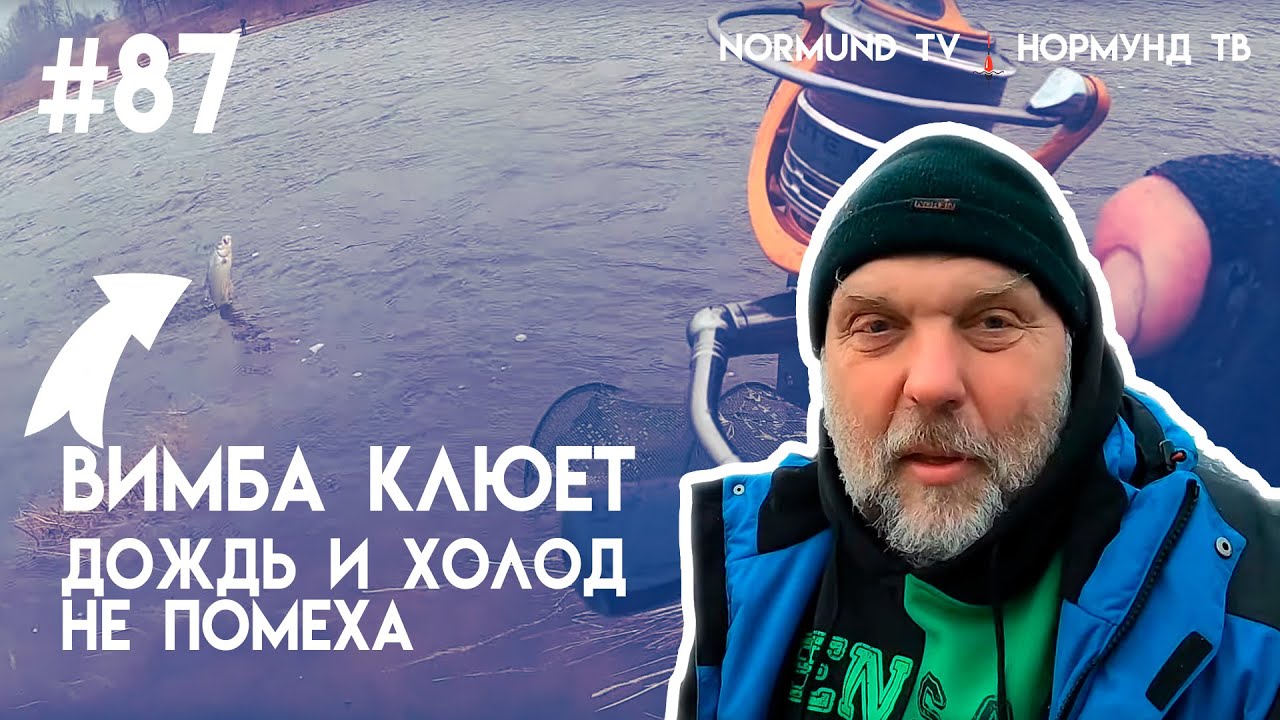 дождь и холод не помеха, если вимба клюёт на поплавок, отчёт Но87