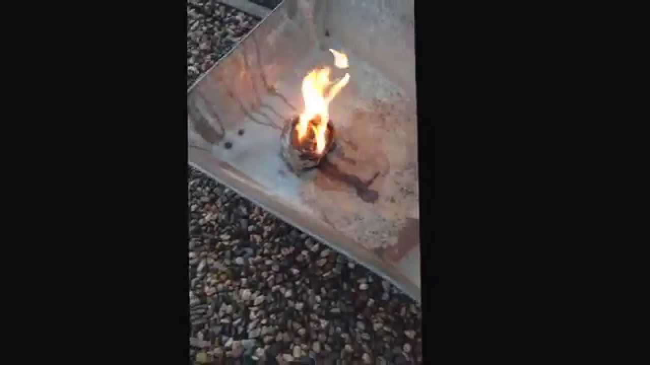 Burning wasp nest