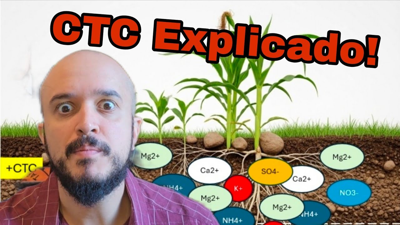 CTC, CTA e Fertilidade do Solo: O Guia DEFINITIVO Para Não Errar na Adubação