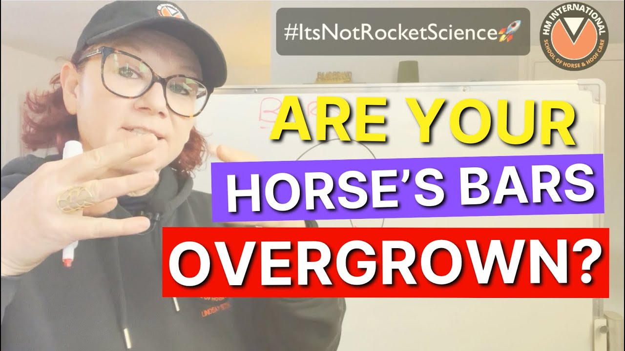 Are your horse's BARS OVERGROWN? 😳 Understand the HOOF!