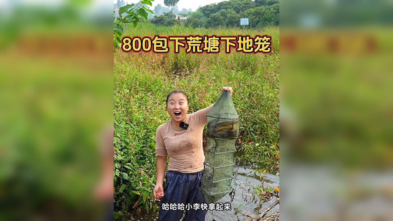 800块包下荒塘下地笼，看看到底能上多少货？
