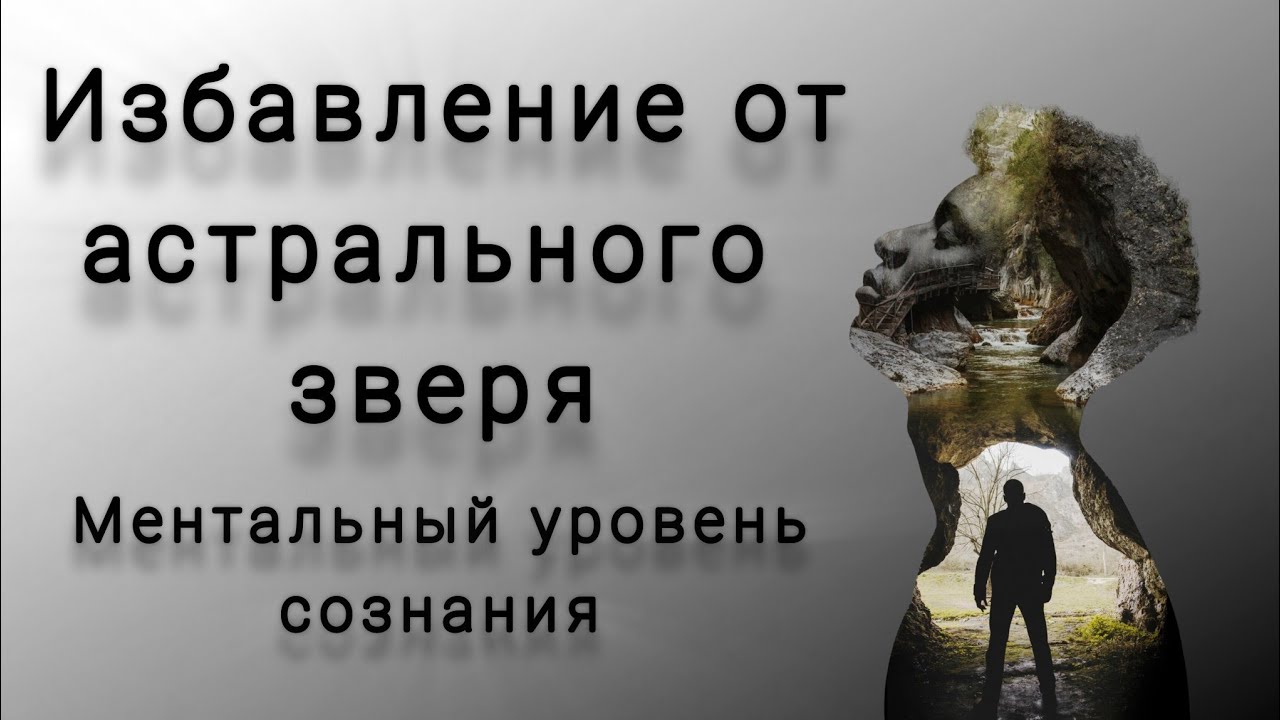 Ментальный уровень человека. 