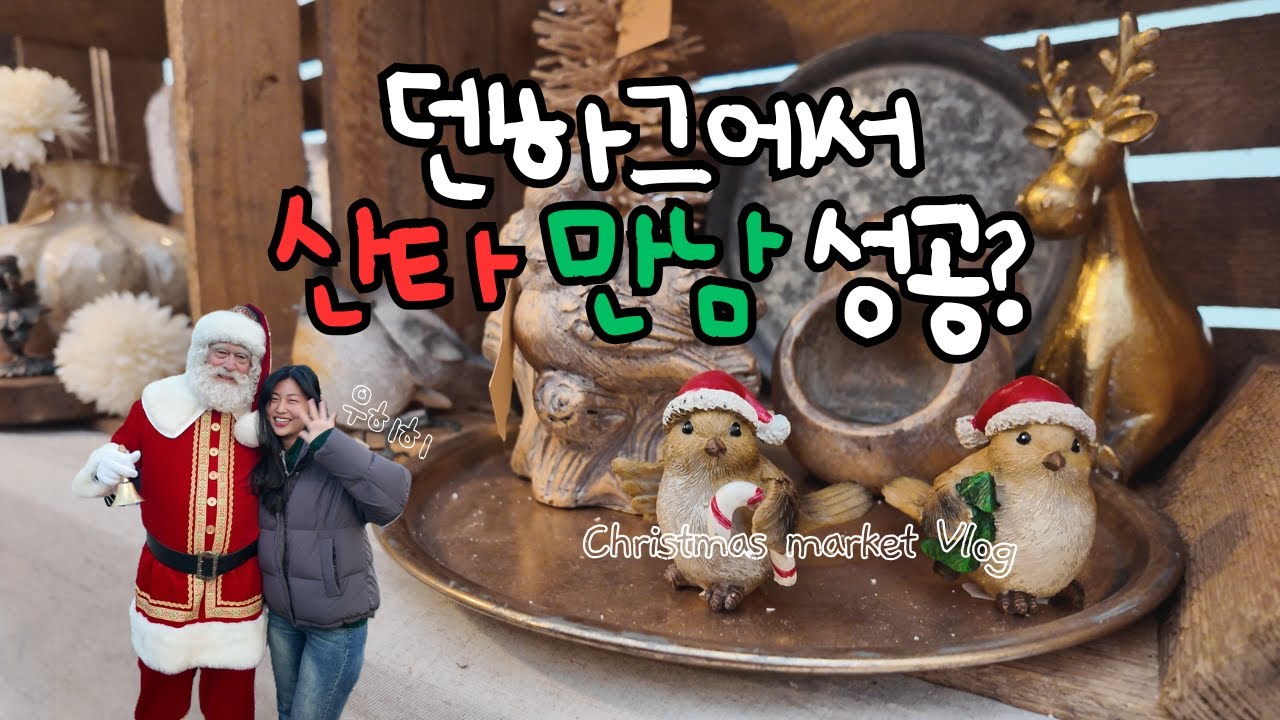 산타를 직접 만났어요?!  덴하그 크리스마스 마켓 브이로그 #TheHagueChristmasMarket #NetherlandsWinter #christmasvlog