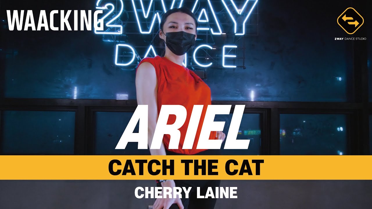 【 WAACKING 】 CATCH THE CAT - CHERRY LAINE / ARIEL