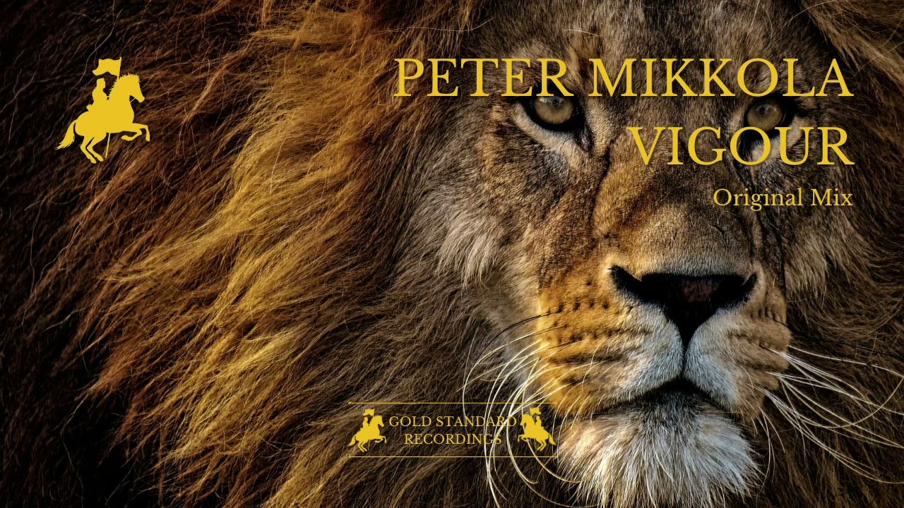 Peter Mikkola - Vigour (Original Mix)