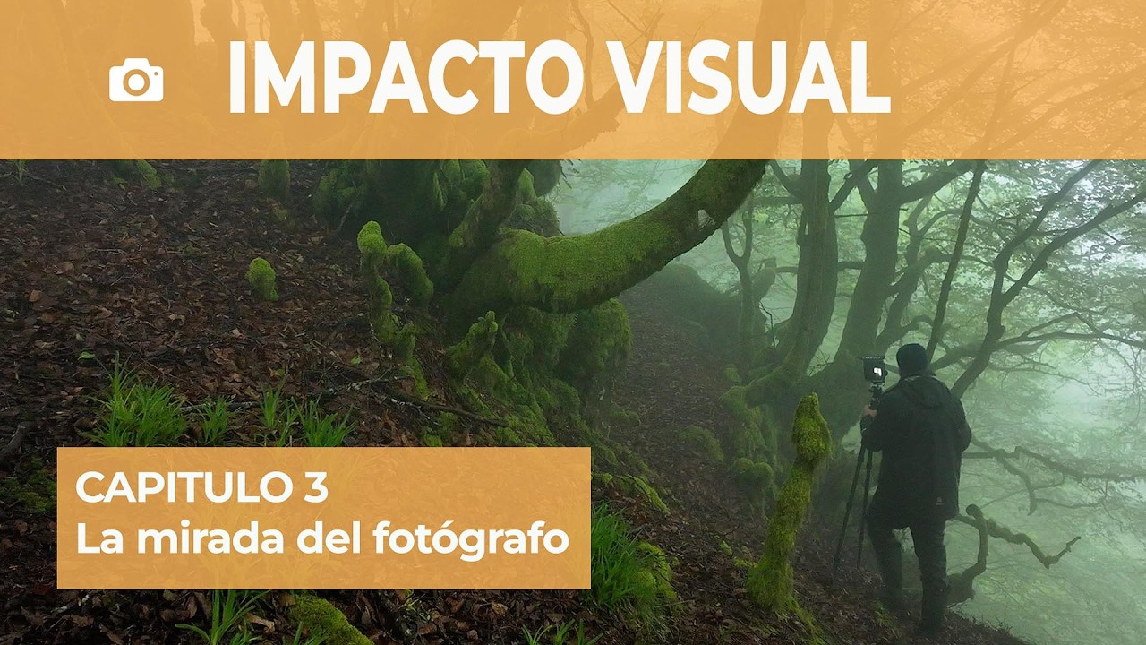 Impacto visual. Capítulo 3 - La mirada del fotógrafo