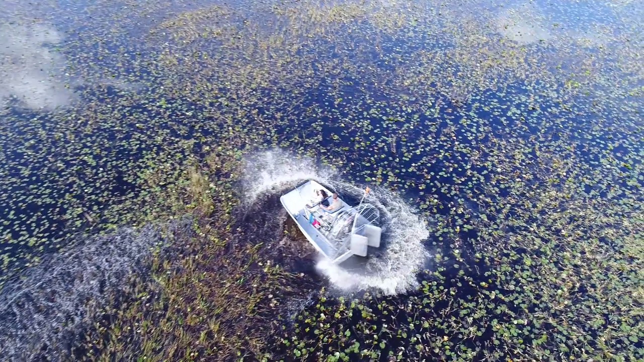 Swamp Party 2017