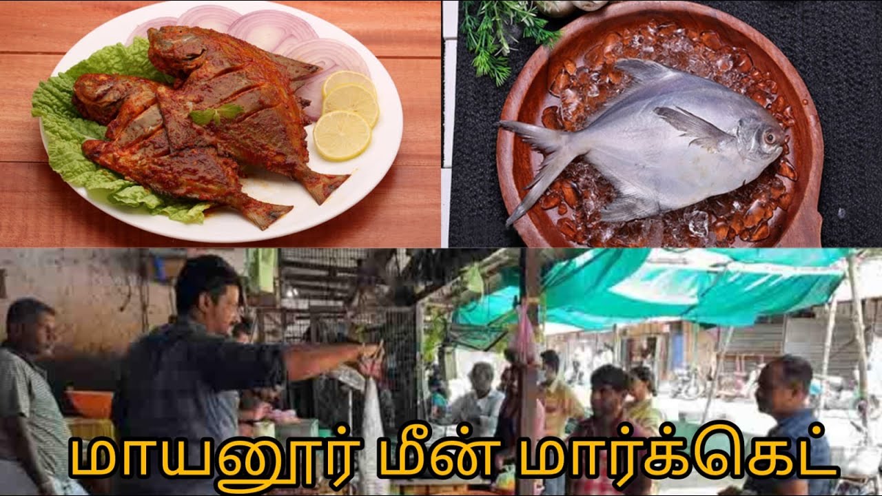 #sundayspecial மாயனூர் மீன் மார்க்கெட் | Mayanur Fish Market | Karur District