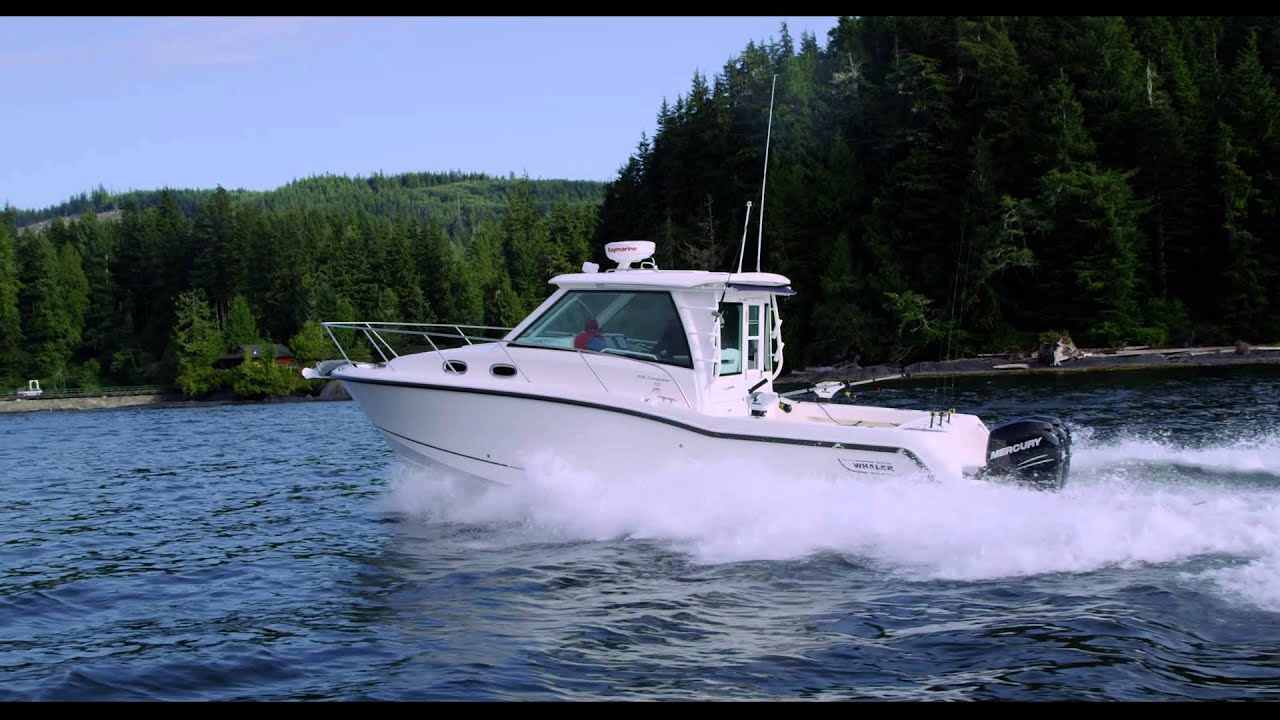 Boston Whaler 315 Conquest Pilothouse