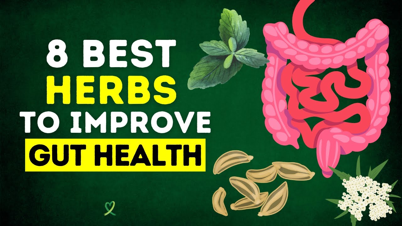 8 Best Herbs To Improve Gut Health