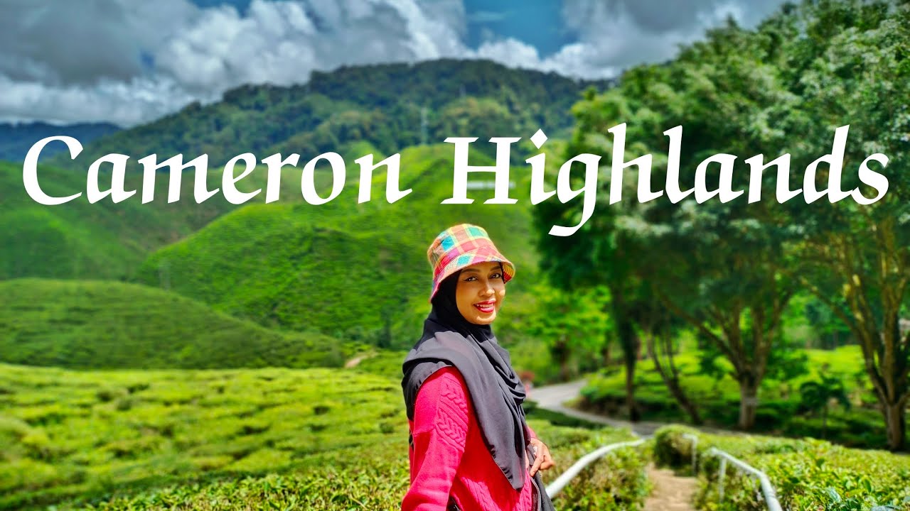 Cameron Highlands 1 ❤️