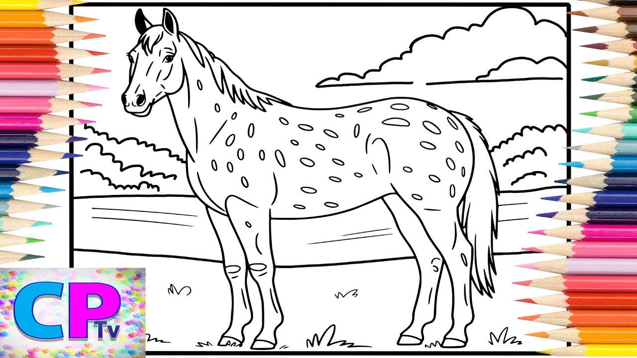 Appaloosa Horse/A Beautiful Horse Eats the Grass Near the River/Art Therapy/Coloring Process