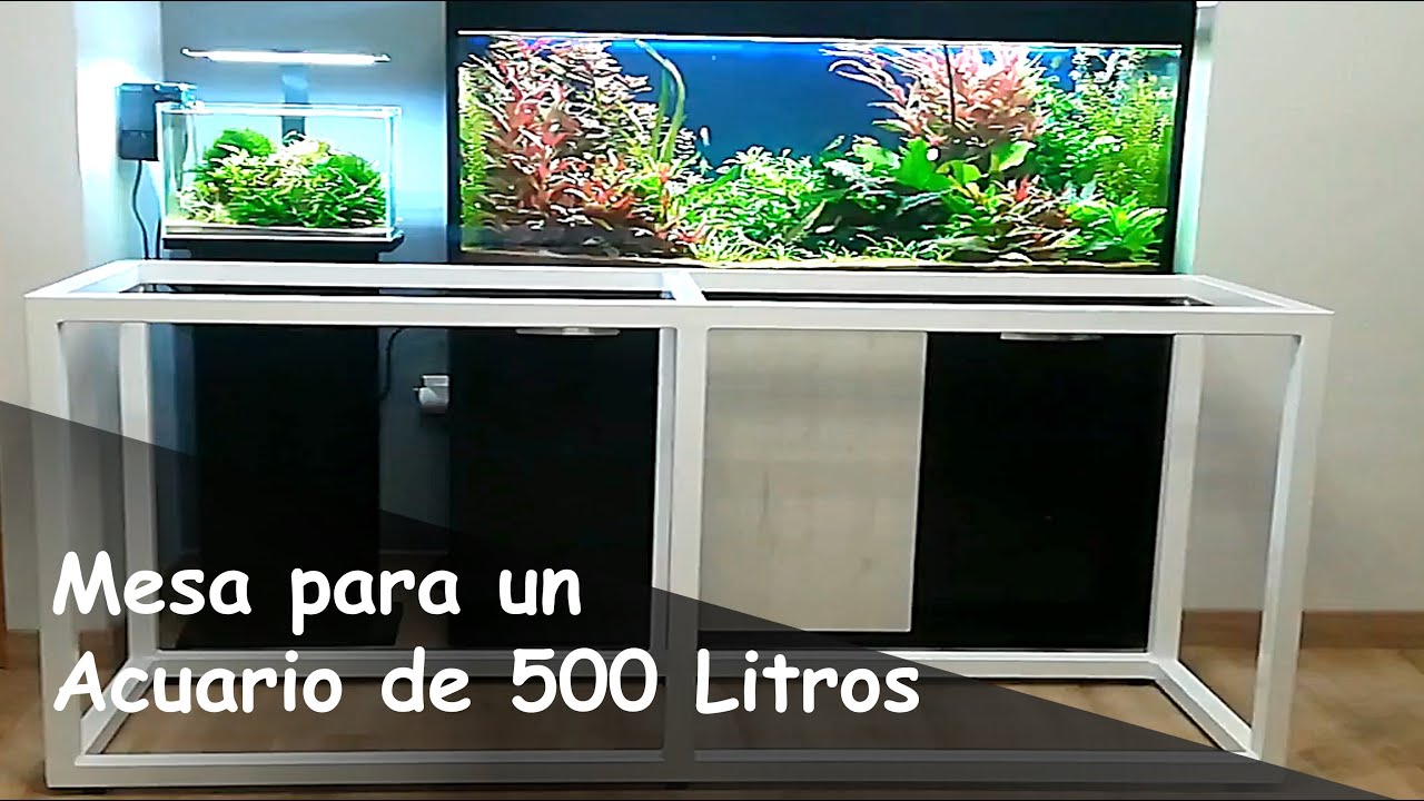 Cómo Hacer un Mueble para un Acuarios de 500 Litros: NUEVO PROYECTO - DIY