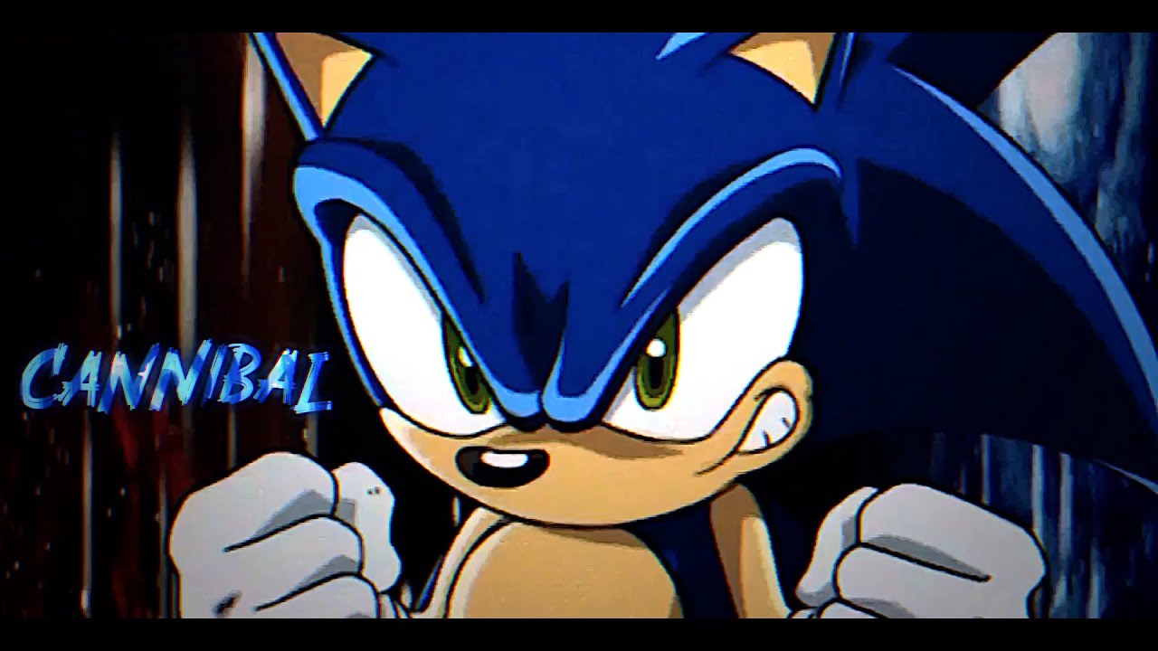 Sonic the Hedgehog edit | Sonic X | Cannibal