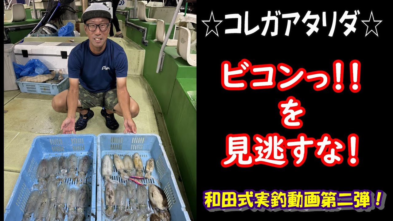 和田式船アオリ実釣動画2024年第２弾！