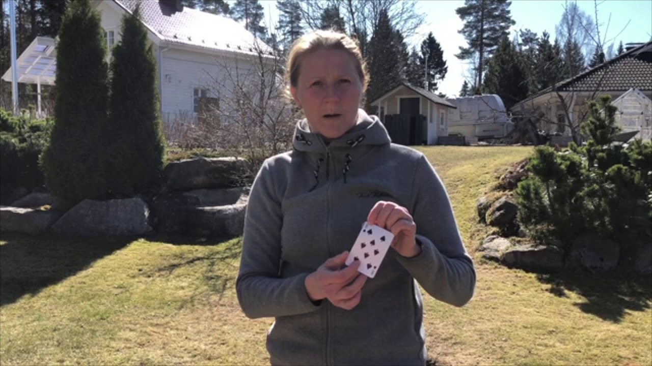Perheliikuntavideo
