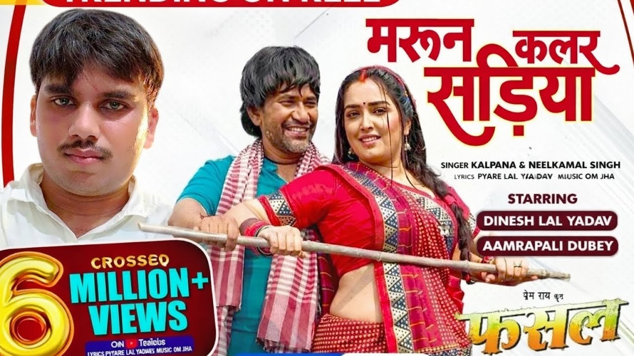मेहरून कलर साड़ियांMaroon Color Sadiya  #dineshlalyadav #aamrapalidubey #shorts #bhojpuri  #bhojpuri