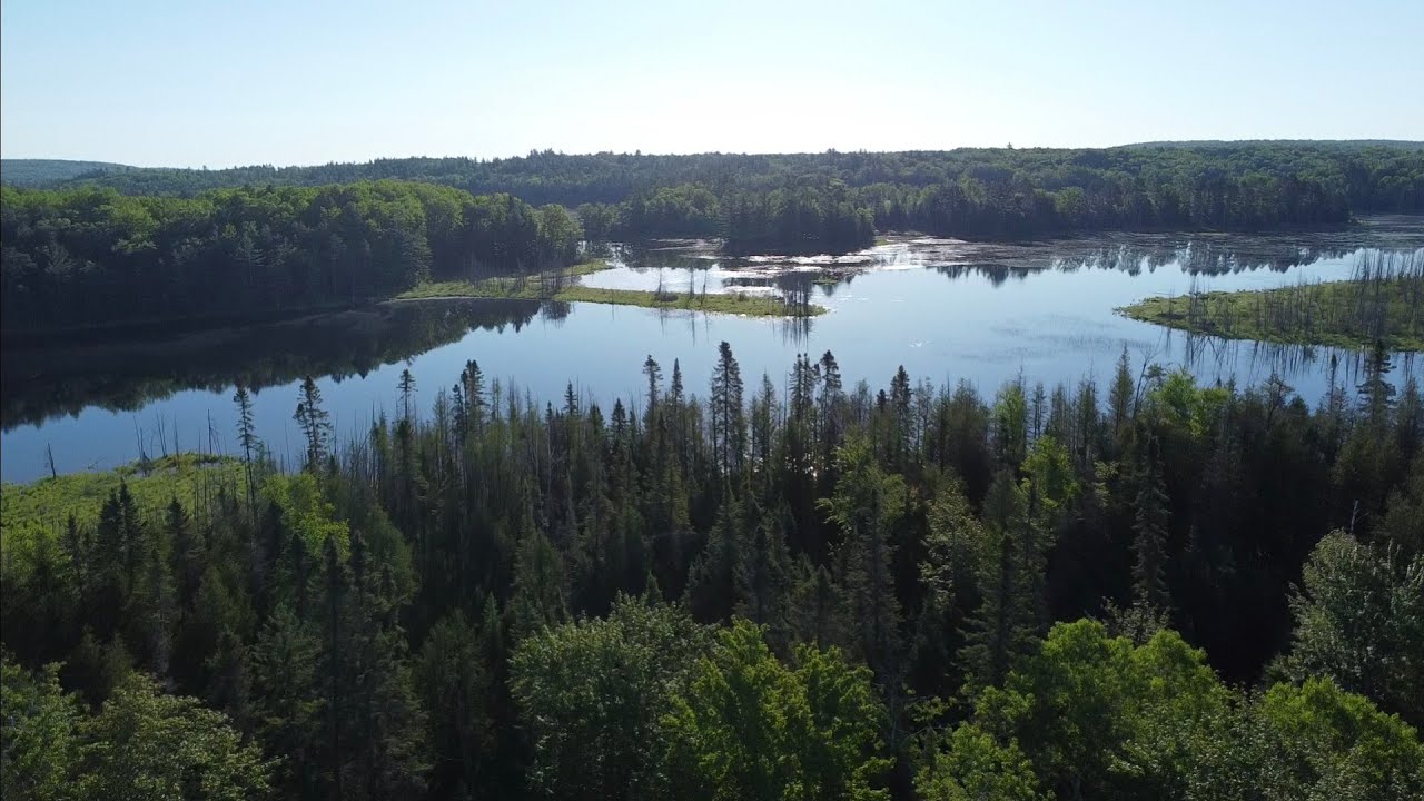 Incredibly beautiful Lake in Atlanta Michigan