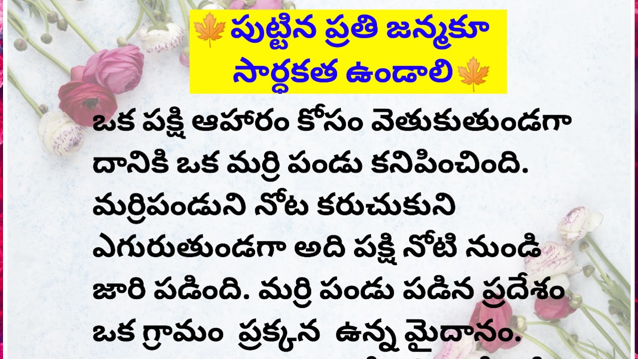 🍁పుట్టిన ప్రతి జన్మకూ సార్ధకత ఉండాలి🍁||Lakshmi's fact and motivational chanel #facts #motivation