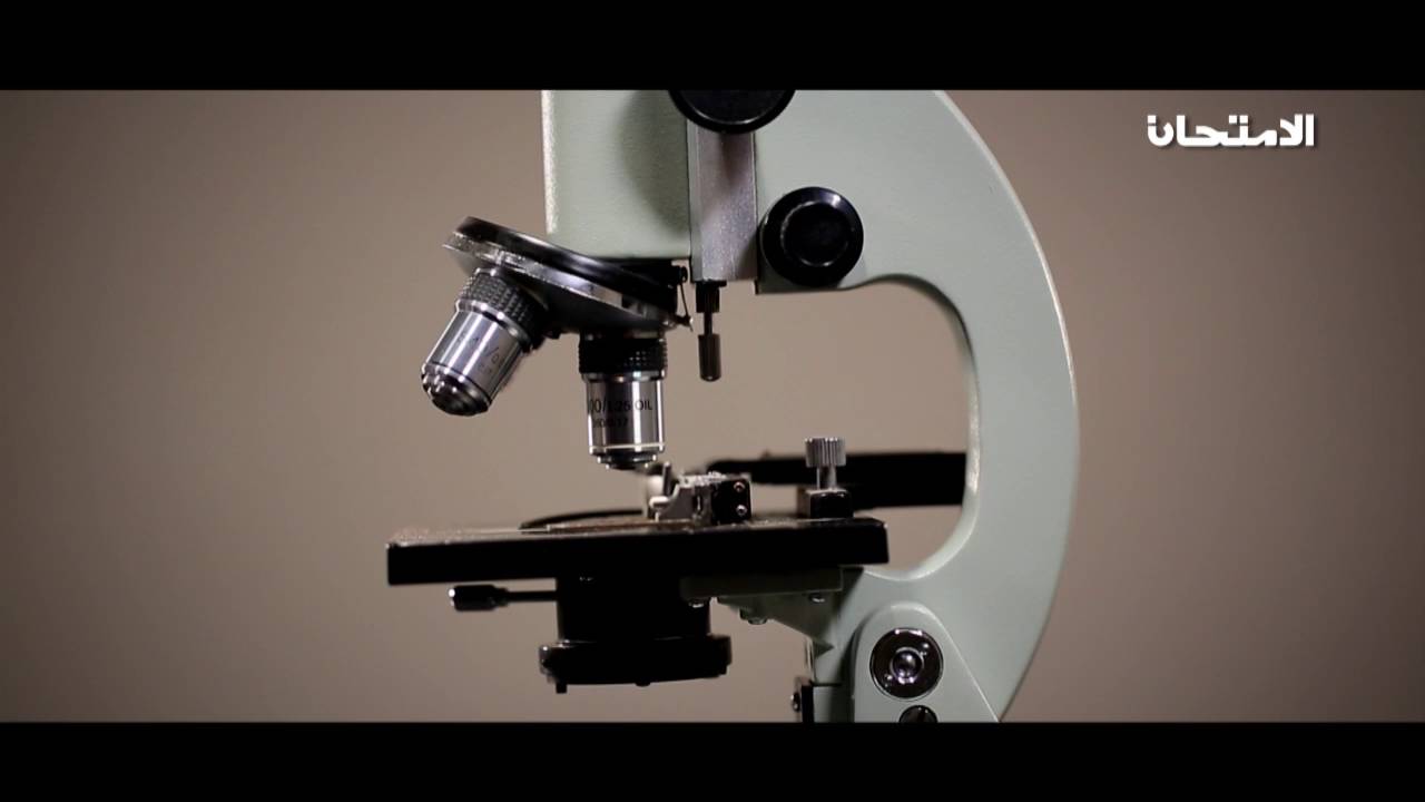 الأحياء - الصف الأول الثانوي - استخدام المجهر الضوئي