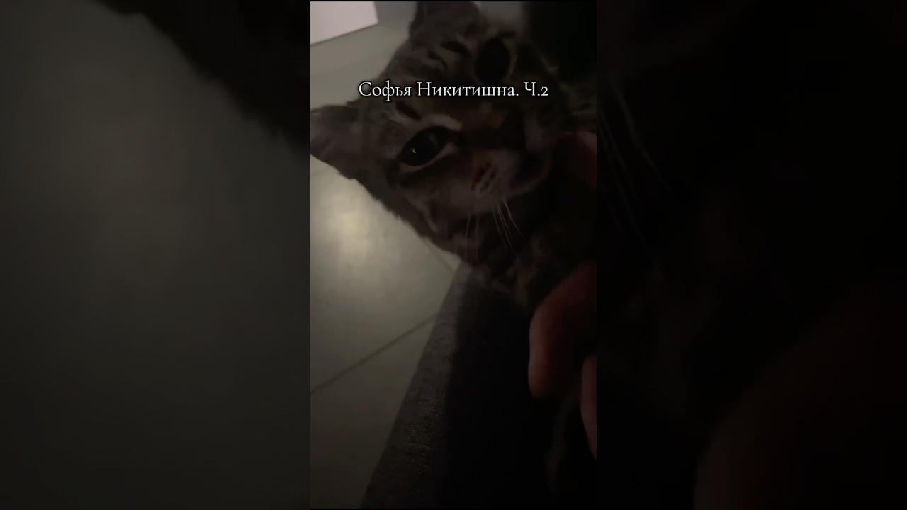 Барыня не в духе ч. 2